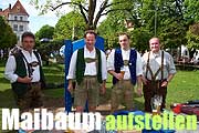 Maibaum aufstellen